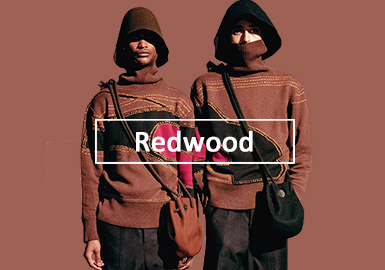 Redwood -- A/W 20/21 Color Trend for Men's Knitwear