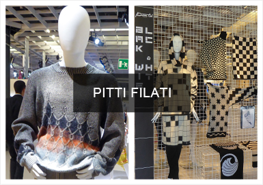 Comprehensive Analysis of Pitti Filati