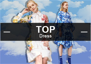 The Dress-- The Analysis of The Hot Item in Womenswear