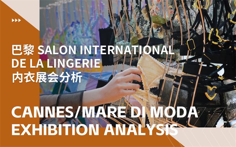The Exhibition Analysis of Salon International de la Lingerie