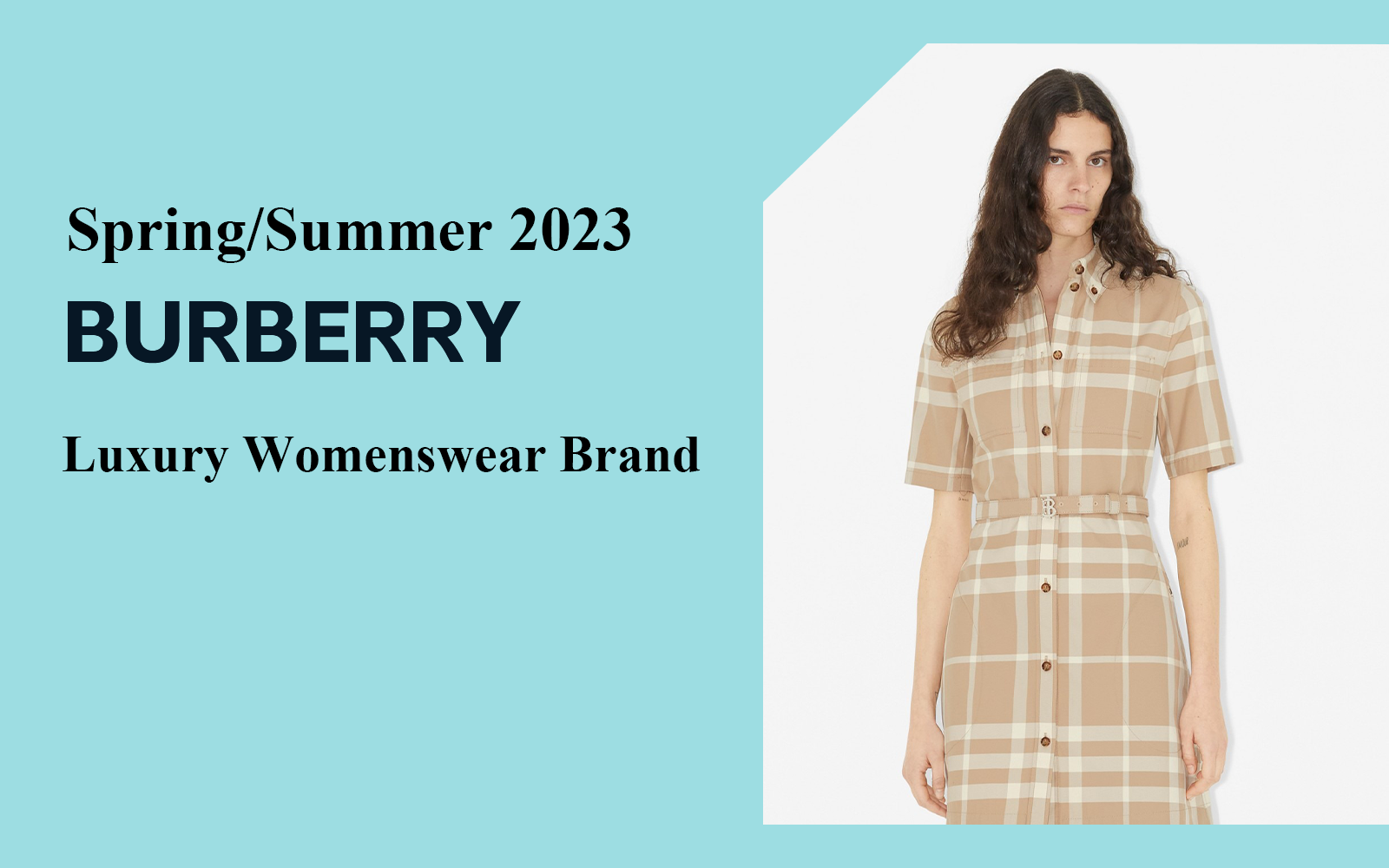 The Analysis of Burberry The Luxury Womenswear Brand