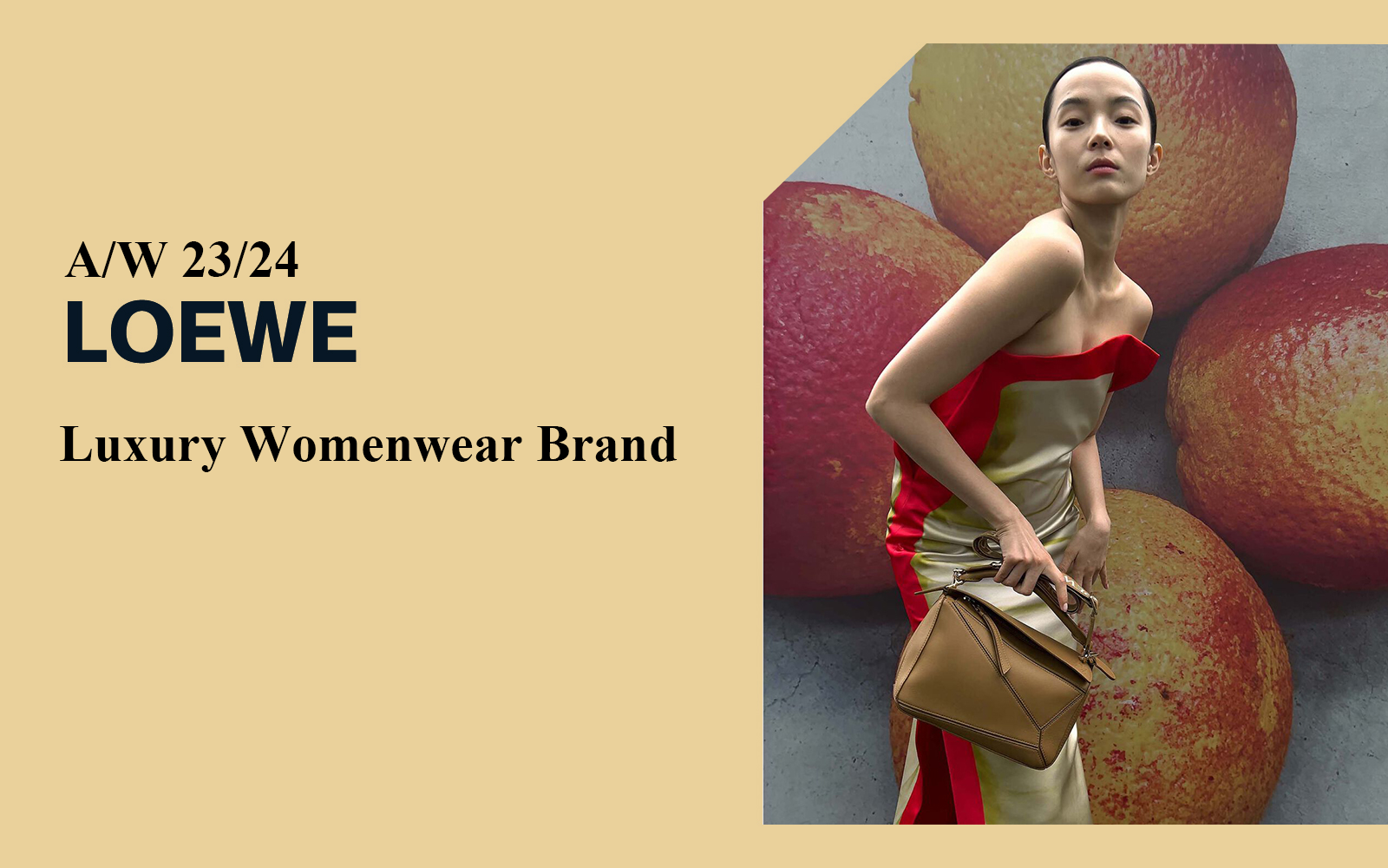 The Analysis of LOEWE Luxury Womenswear Brand