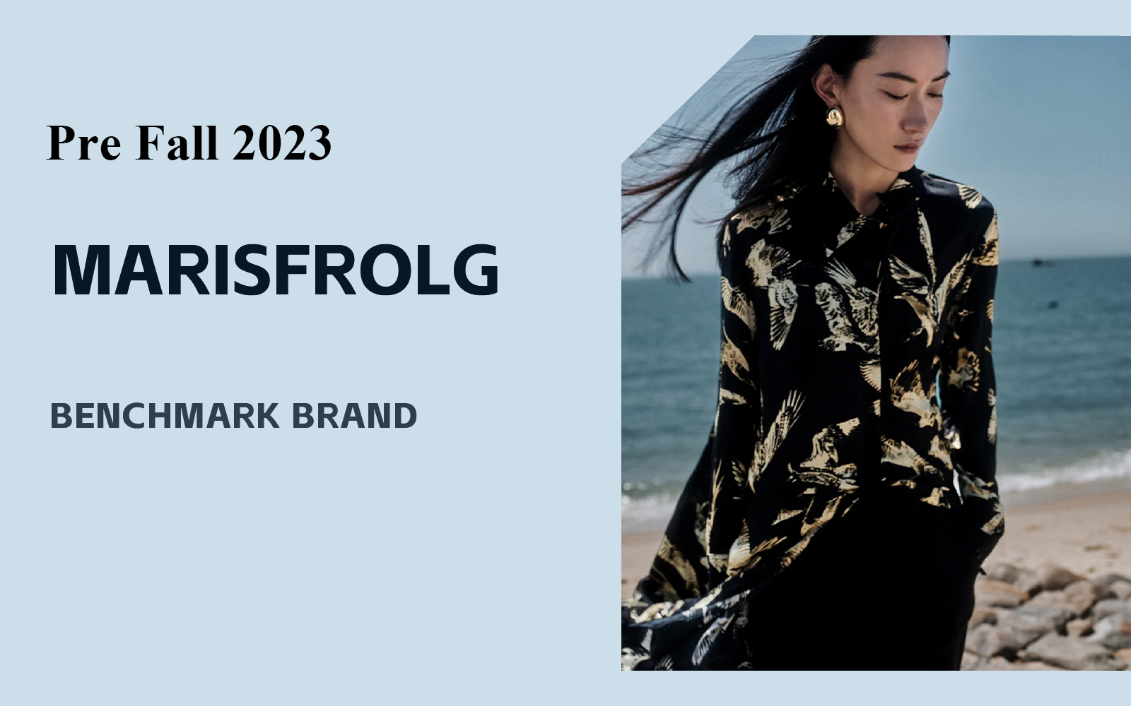 Free Shadows -- The Analysis of Marisfrolg The Benchmark Womenswear Brand