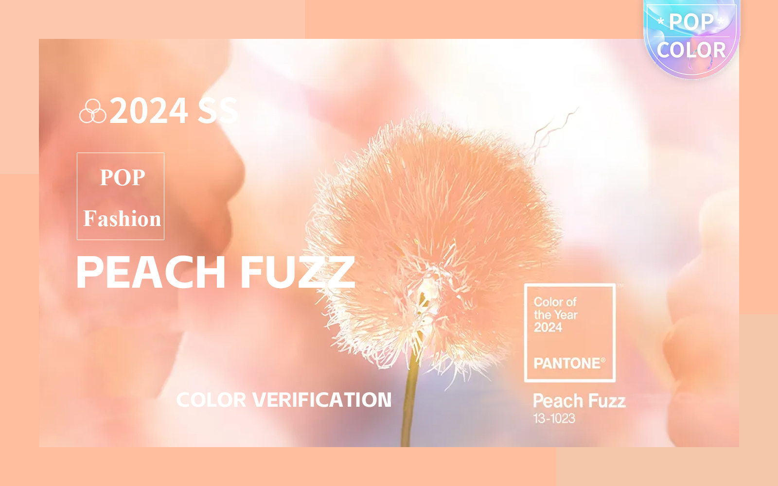 Color of the Year 2024 -- Peach Fuzz