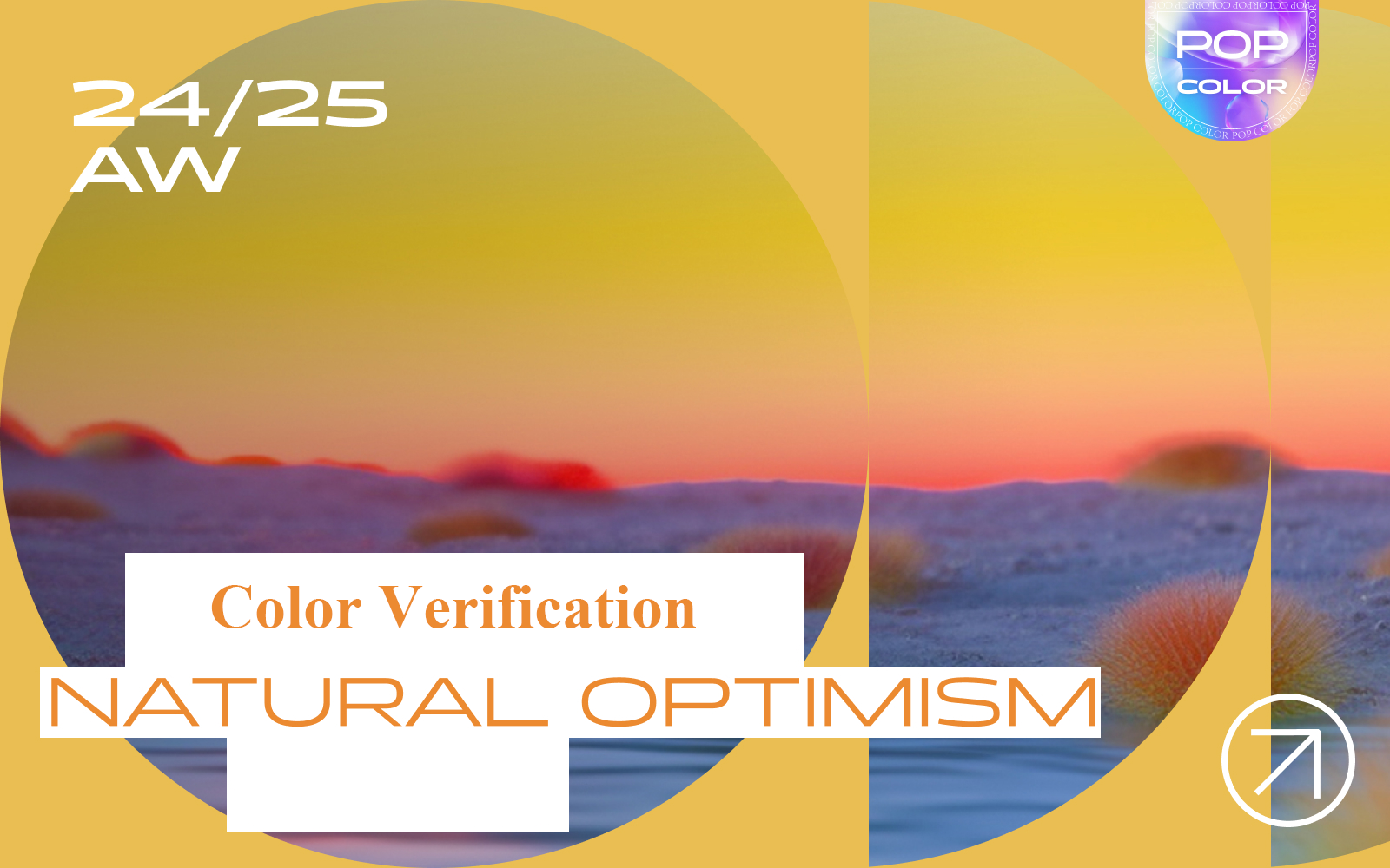 Natural Optimism -- The Color Verification of Womenswear